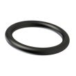 O-ring FFKM 90 Zwart Evolast® N9EX