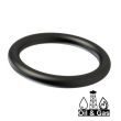 O-ring FFKM 90 Zwart Evolast® N9ED